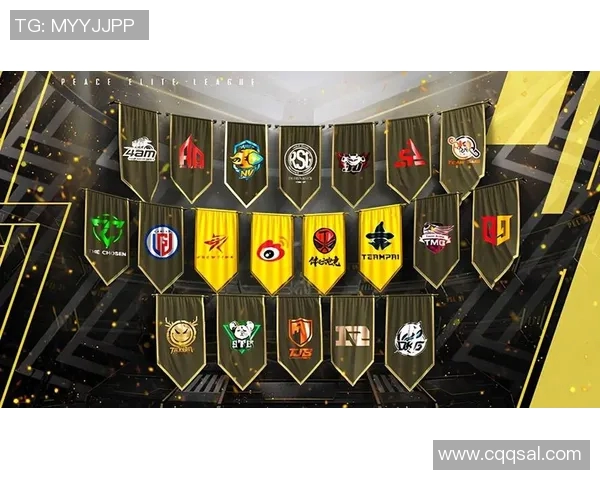 和平精英战术解析WE战队区域防守策略与执行细节全景剖析 和平精英战术解析WE战队区域防守策略与执行细节全景剖析