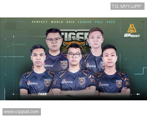 CSGO战术排名V5创新高引发热议S15电竞比分赛季精彩回顾与分析