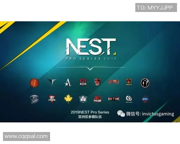 CSGO战术IG的节奏体系解析与实战应用探讨