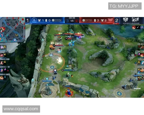 王者荣耀战术WE的控制体系解析与实战应用探讨